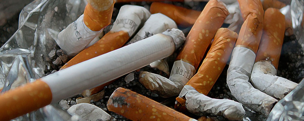 dejar de fumar progresivamente, cigarros en el cenicero